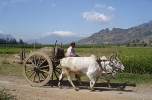 Bullockcart - How To Overcome Personal Obstacles Easily Article Image Bullockcart - How To Overcome Personal Obstacles Easily Article Image