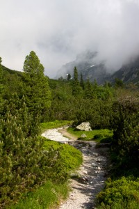 image - hiking-path